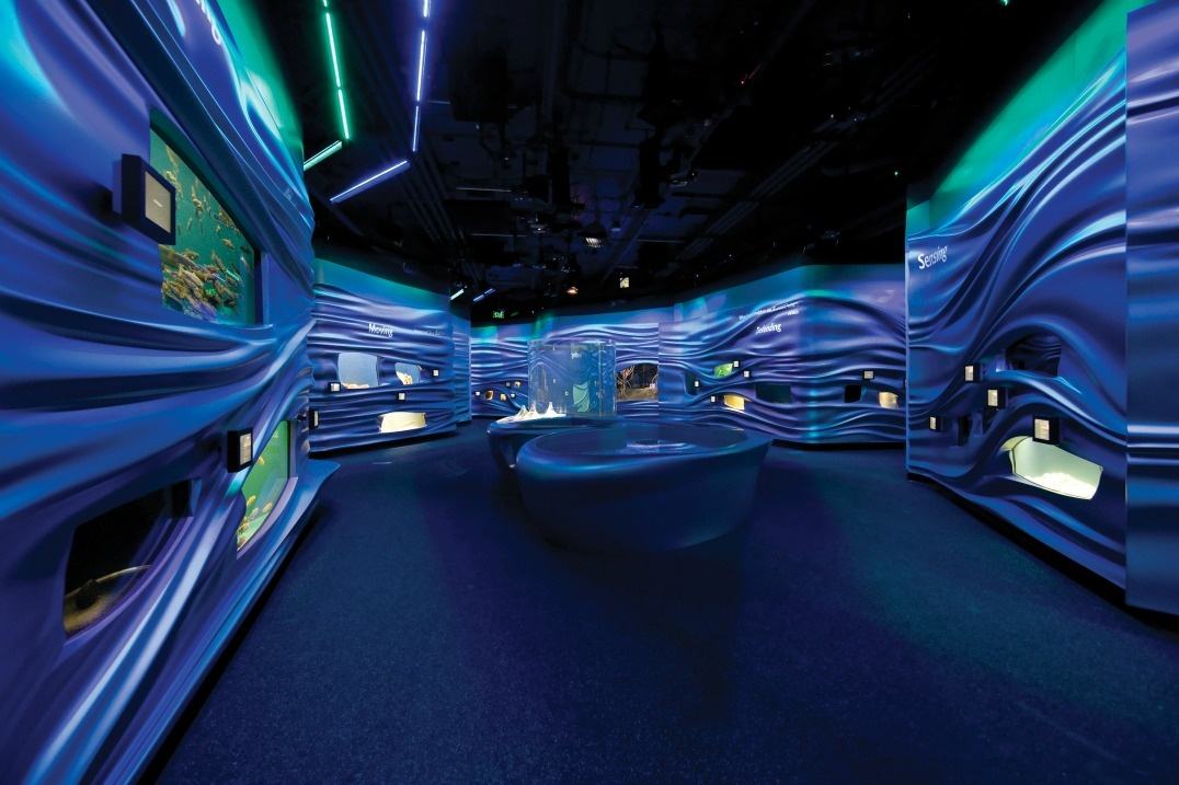 水族館展廳設(shè)計分析 水族館展廳設(shè)計分析